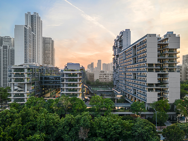 2025-2026学年深国交艺术部招生简章
